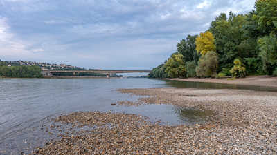 Kamenisté pláže na Dunaji pri Pečnianskom lese